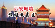 大屌猛干在线中国陕西-西安城墙旅游风景区